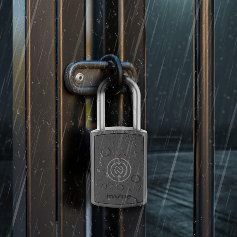 secure padlock is fastened on metal gate symbolizing protection
